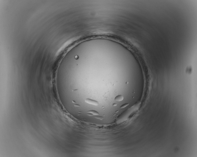 X0000113091306200909111017