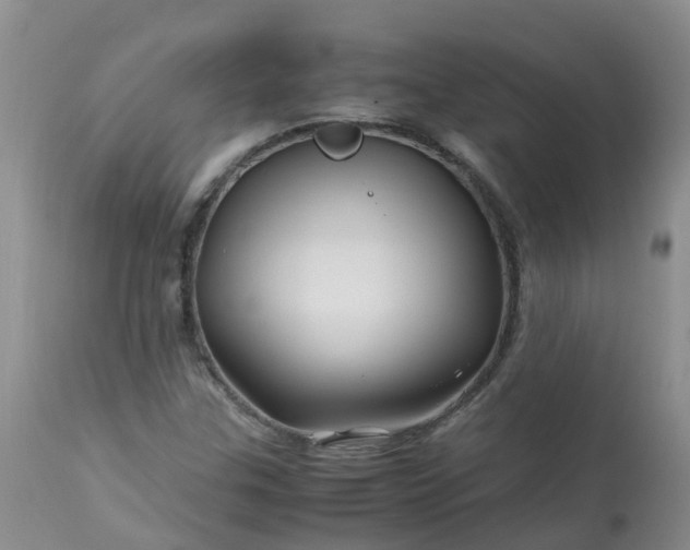 X0000113091307200909111017
