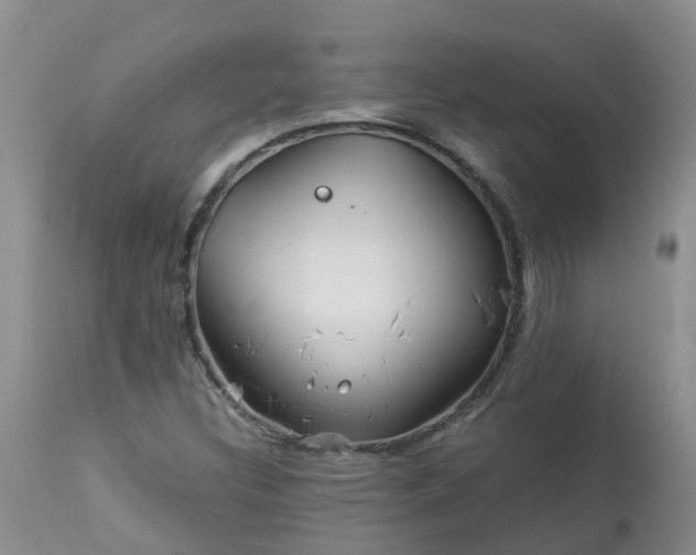 X0000113091308200909111017