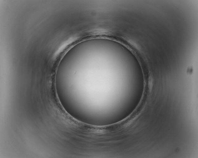 X0000113091309200909111017