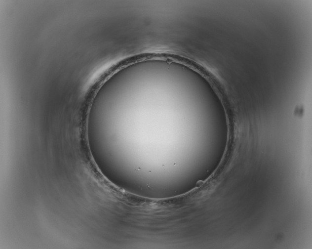 X0000113091311200909111017