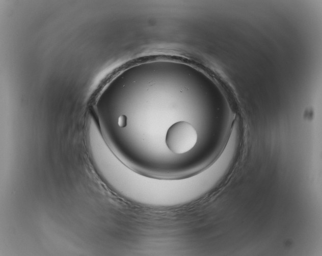 X0000113091312200909111017