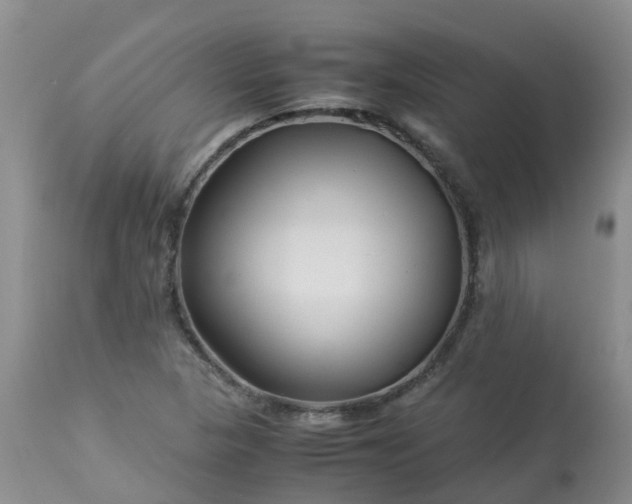 X0000113091313200909111017