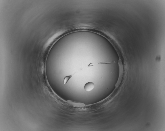 X0000113091317200909111018