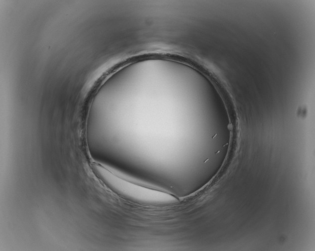 X0000113091318200909111018