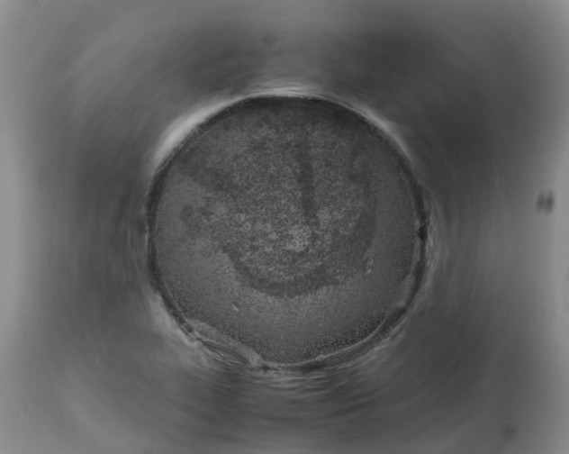 X0000113091319200909111018
