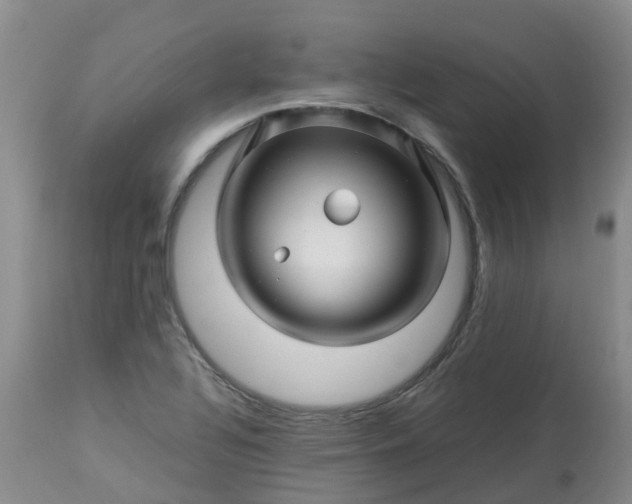 X0000113091320200909111018