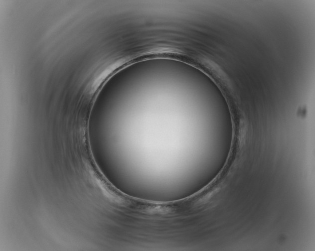 X0000113091321200909111018
