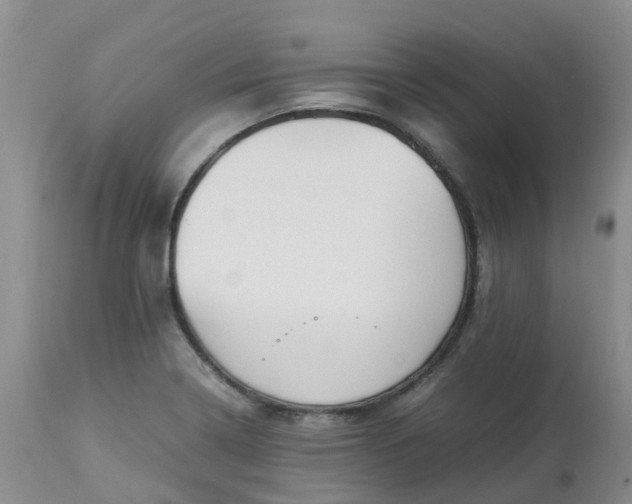 X0000113091322200909111018