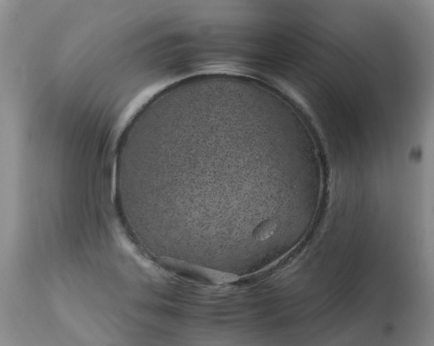 X0000113091323200909111018