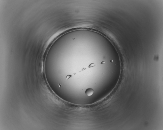 X0000113091324200909111018