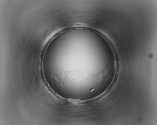 X0000113091325200909111018