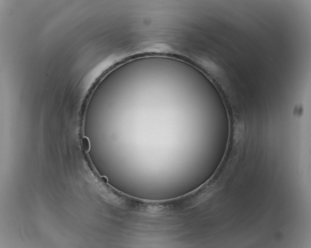 X0000113091326200909111018