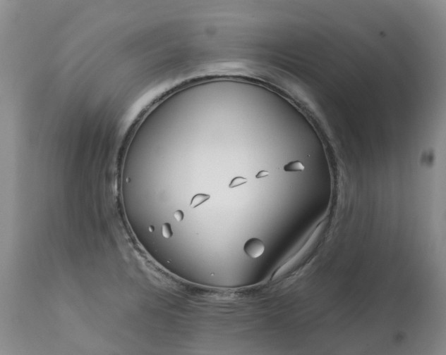 X0000113091328200909111018