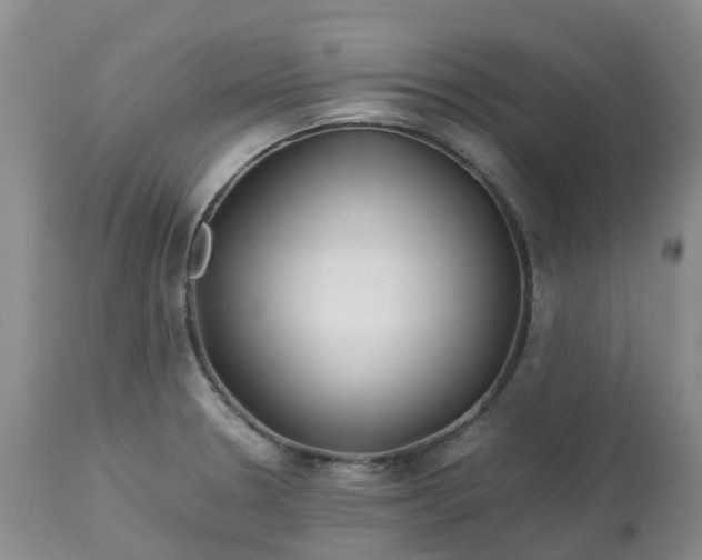 X0000113091330200909111018