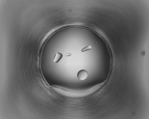 X0000113091332200909111018