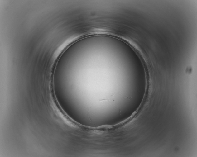 X0000113091333200909111018
