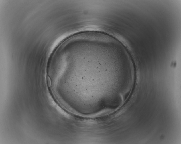 X0000113091334200909111018