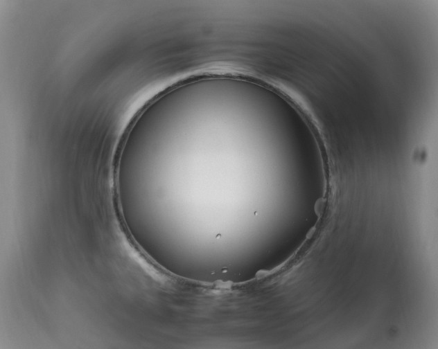 X0000113091335200909111018