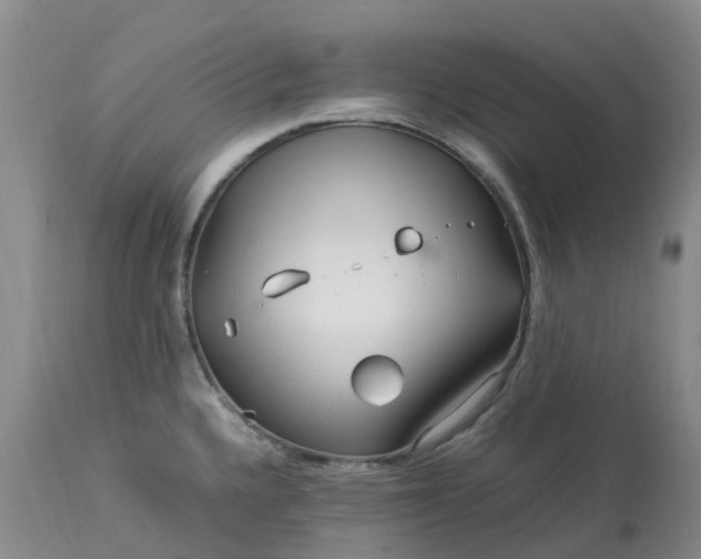 X0000113091336200909111018