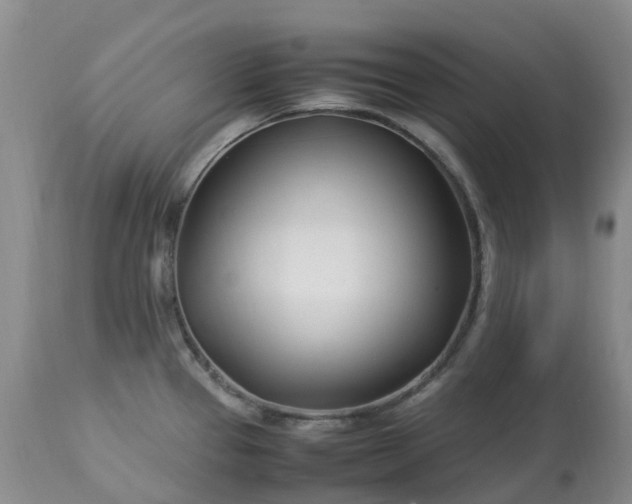 X0000113091337200909111018