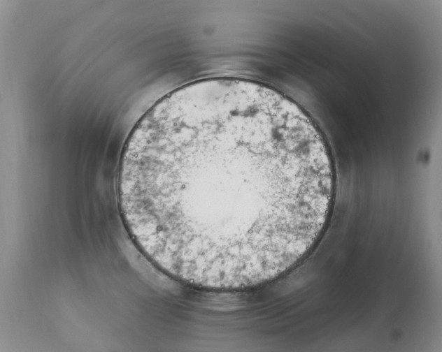 X0000113091338200909111018