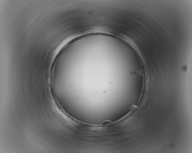 X0000113091339200909111018