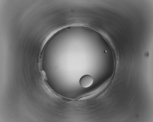 X0000113091340200909111018