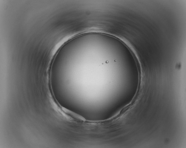 X0000113091341200909111018