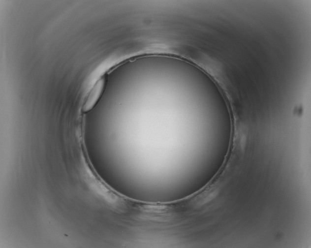 X0000113091342200909111018