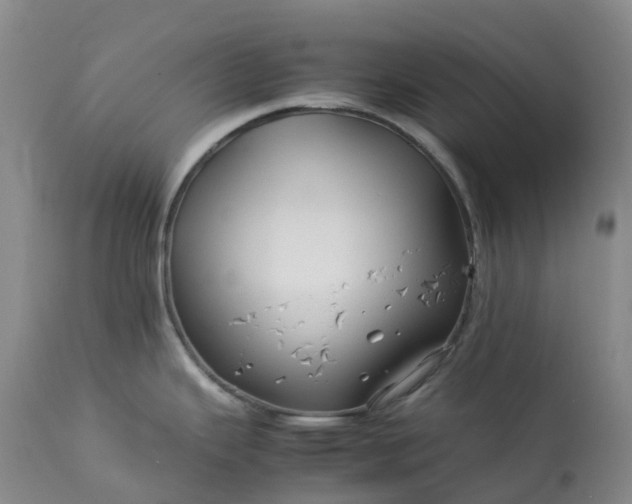 X0000113091343200909111018