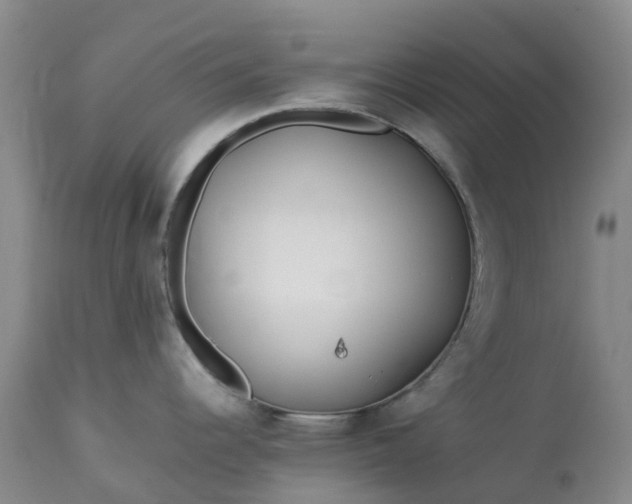 X0000113091344200909111018