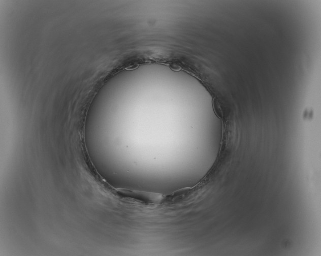 X0000113091345200909111017