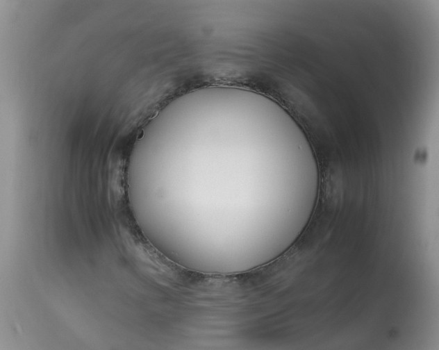 X0000113091346200909111017