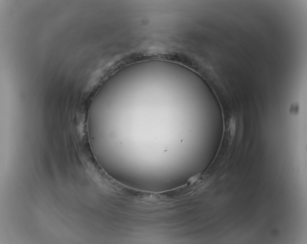 X0000113091348200909111017