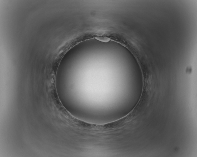 X0000113091349200909111017