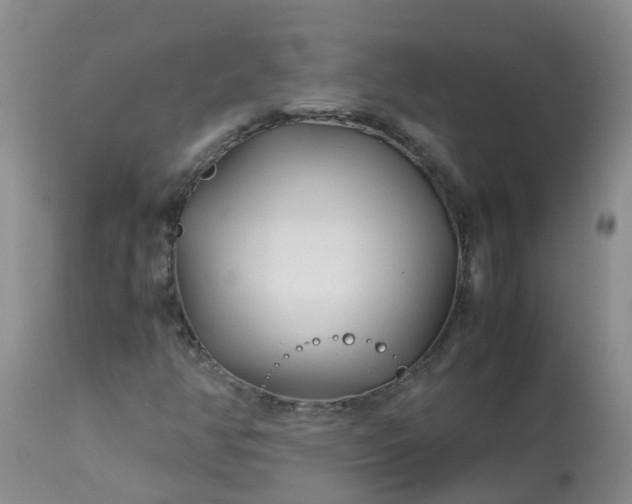 X0000113091350200909111017