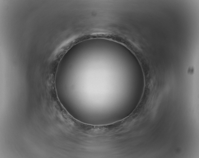 X0000113091351200909111017