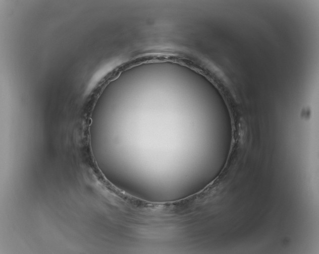 X0000113091352200909111017