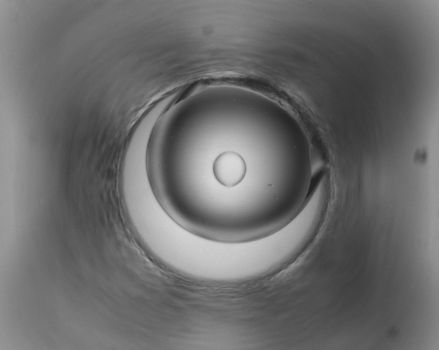 X0000113091353200909111017