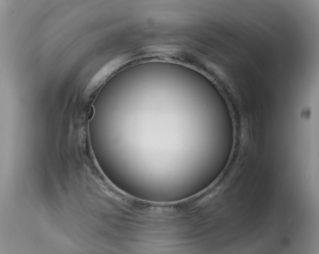 X0000113091354200909111017