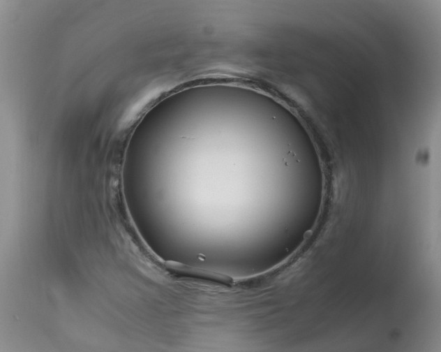 X0000113091355200909111017