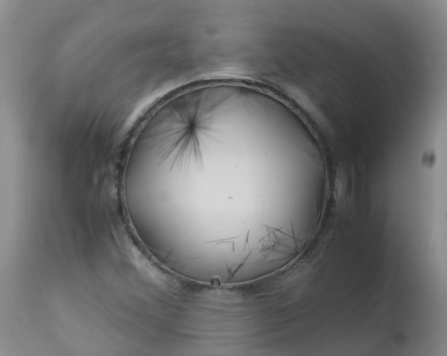 X0000113091356200909111017