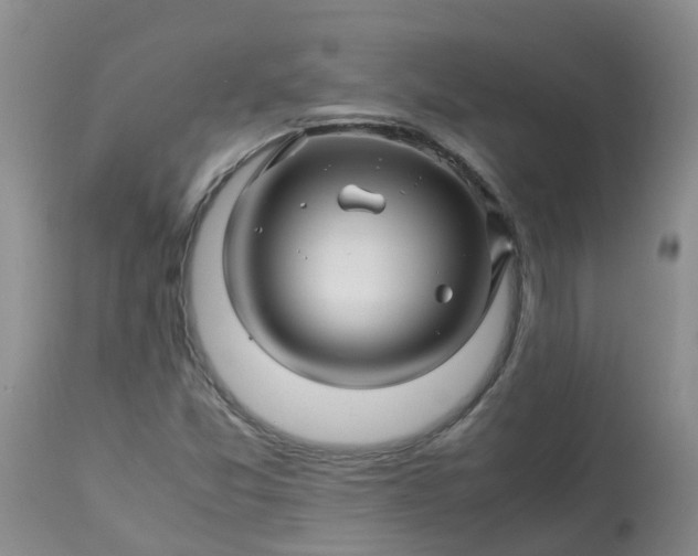 X0000113091357200909111017
