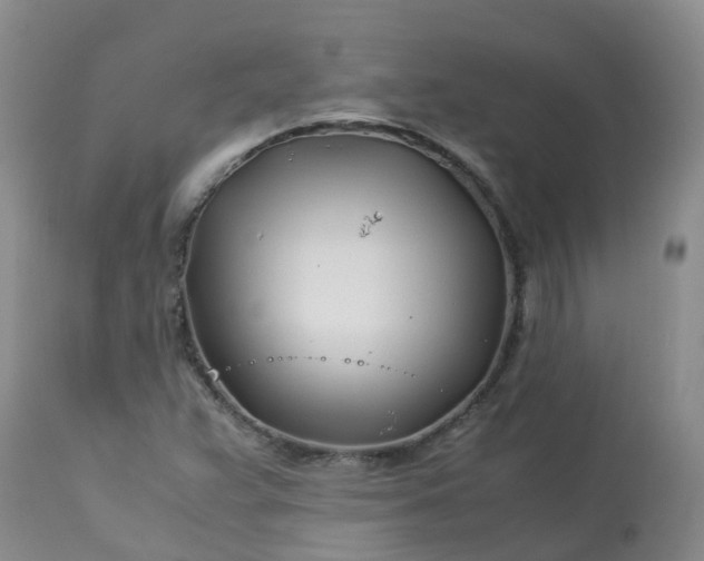 X0000113091359200909111017