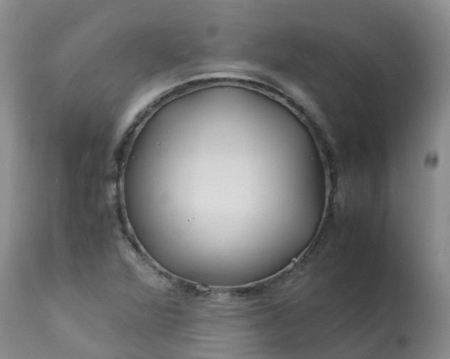 X0000113091360200909111017