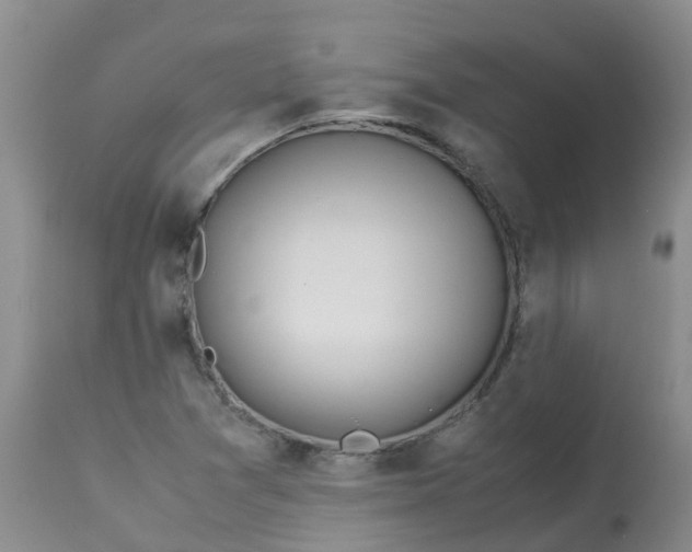 X0000113091361200909111017