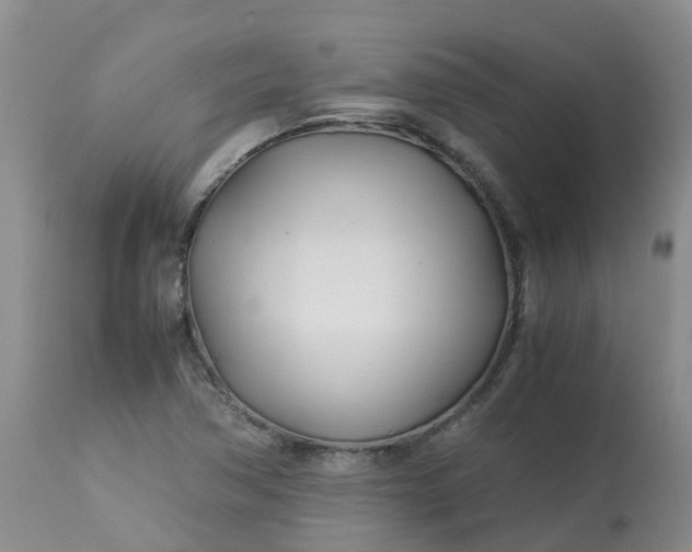 X0000113091362200909111017