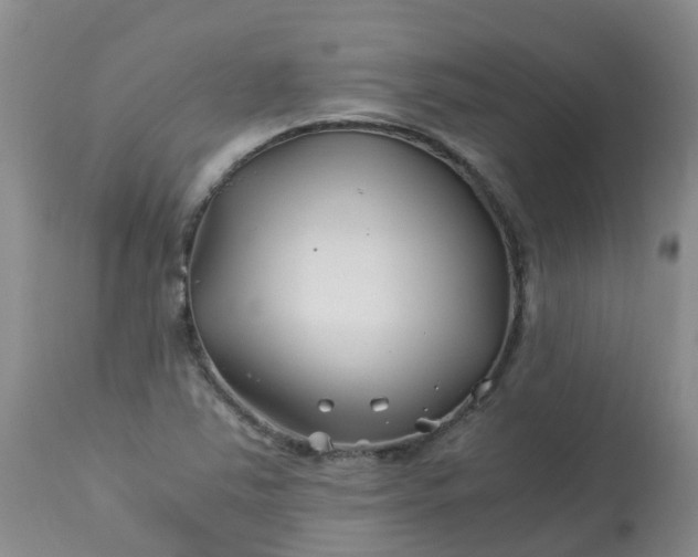 X0000113091363200909111017