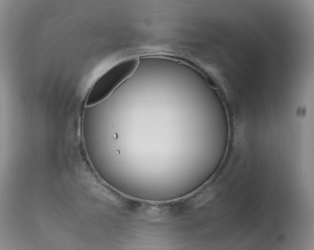 X0000113091365200909111017